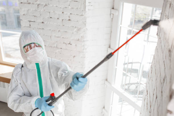Best Real Estate Mold Inspection  in Pine Ridge, SD