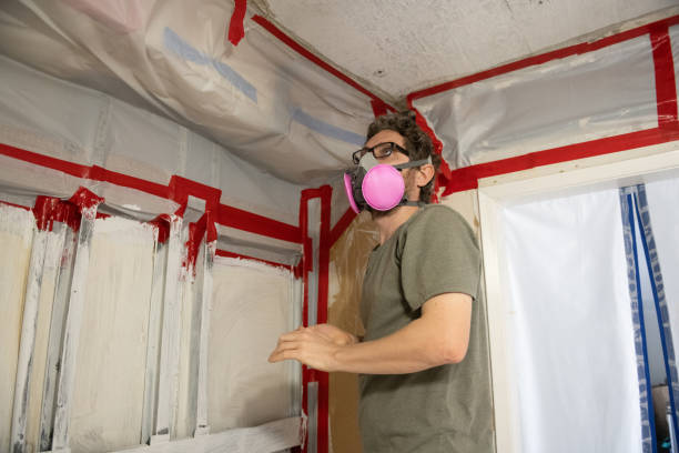 Best Asbestos and Lead Testing During Mold Inspection  in Pine Ridge, SD