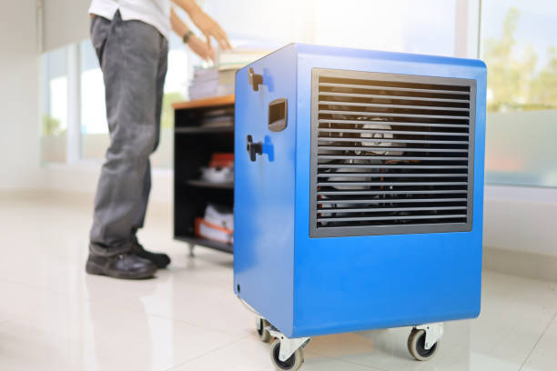 Best Attic Mold Removal  in Pine Ridge, SD